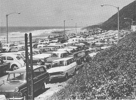 Bluff brighton beach